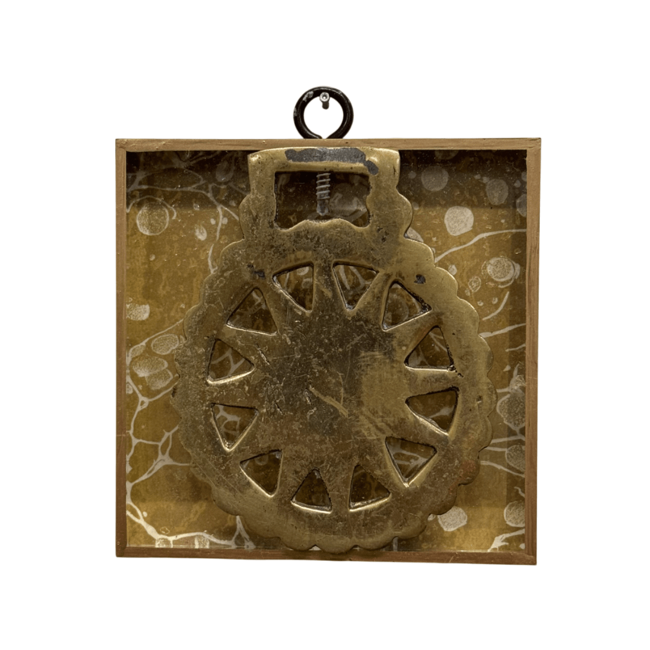 Acrylic Frame with Horse Brass / Slight Imperfections (#10231 | 4" x 1") Objet d'Art Museum Bees