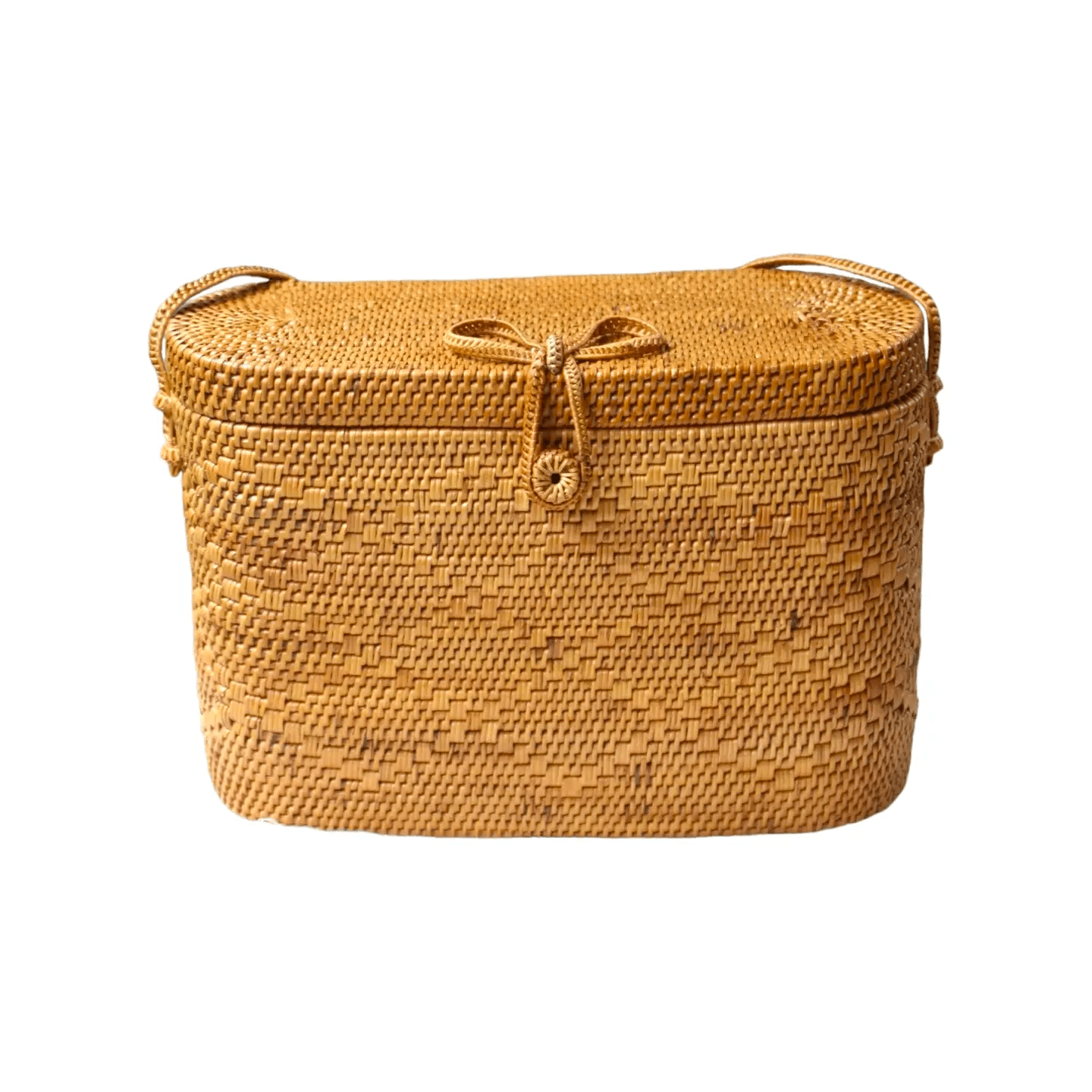 Rattan Shoulder Lid Bag Handbag The Artisan and Company