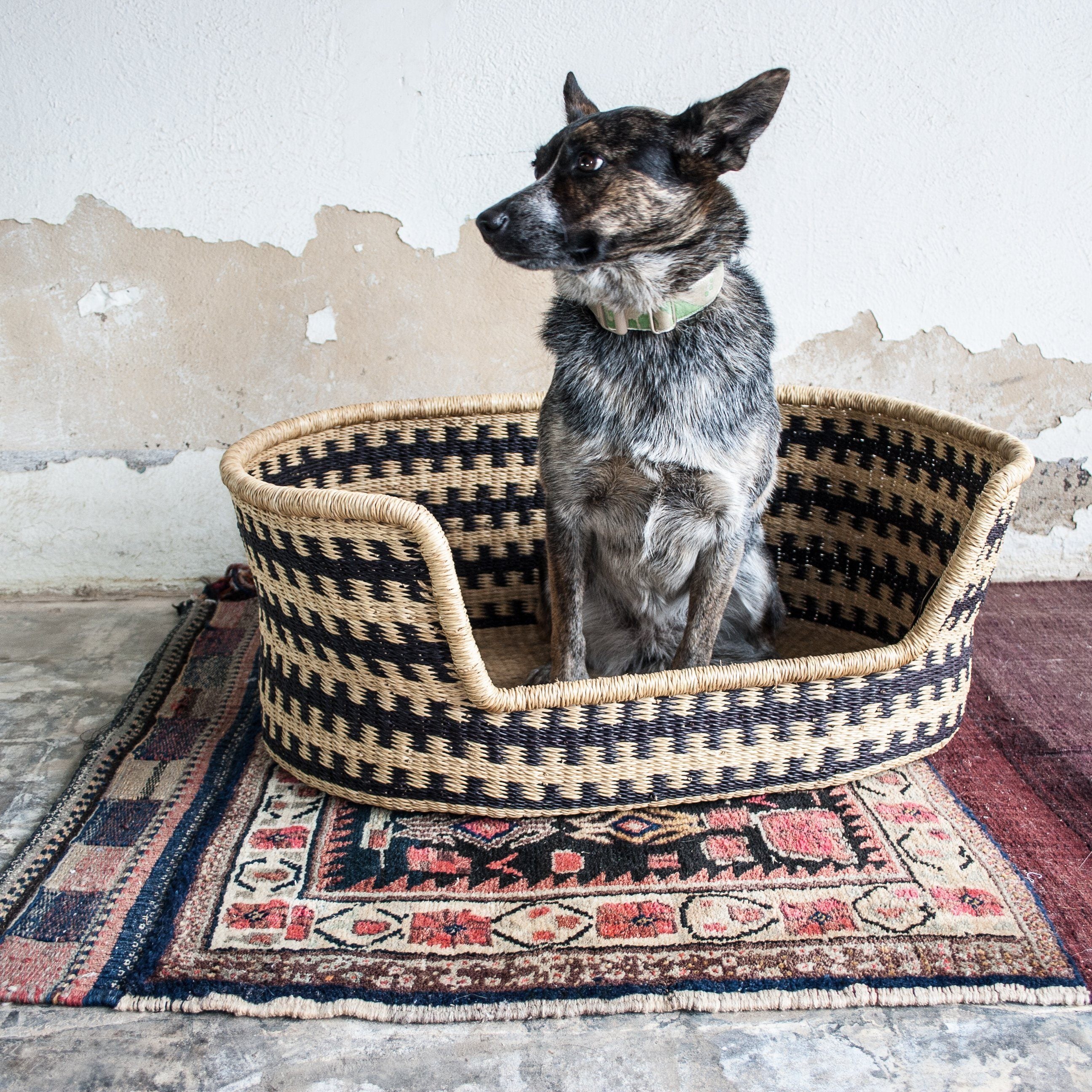 Dog Basket Dog Bed Design Afrika