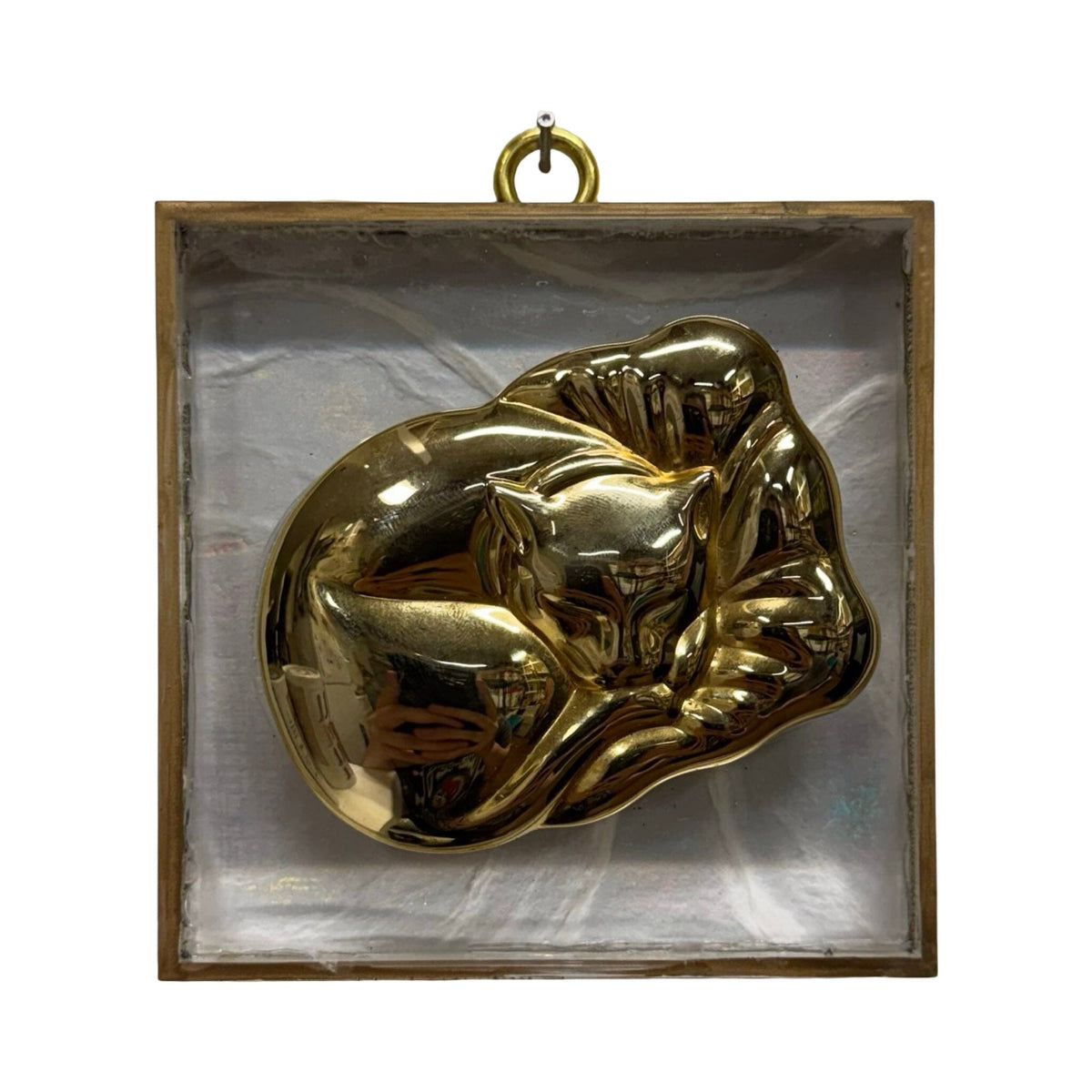 Acrylic Frame with Sleeping Cat / Slight Imperfections (#10920 | 4 x 1") Objet d'Art Museum Bees 