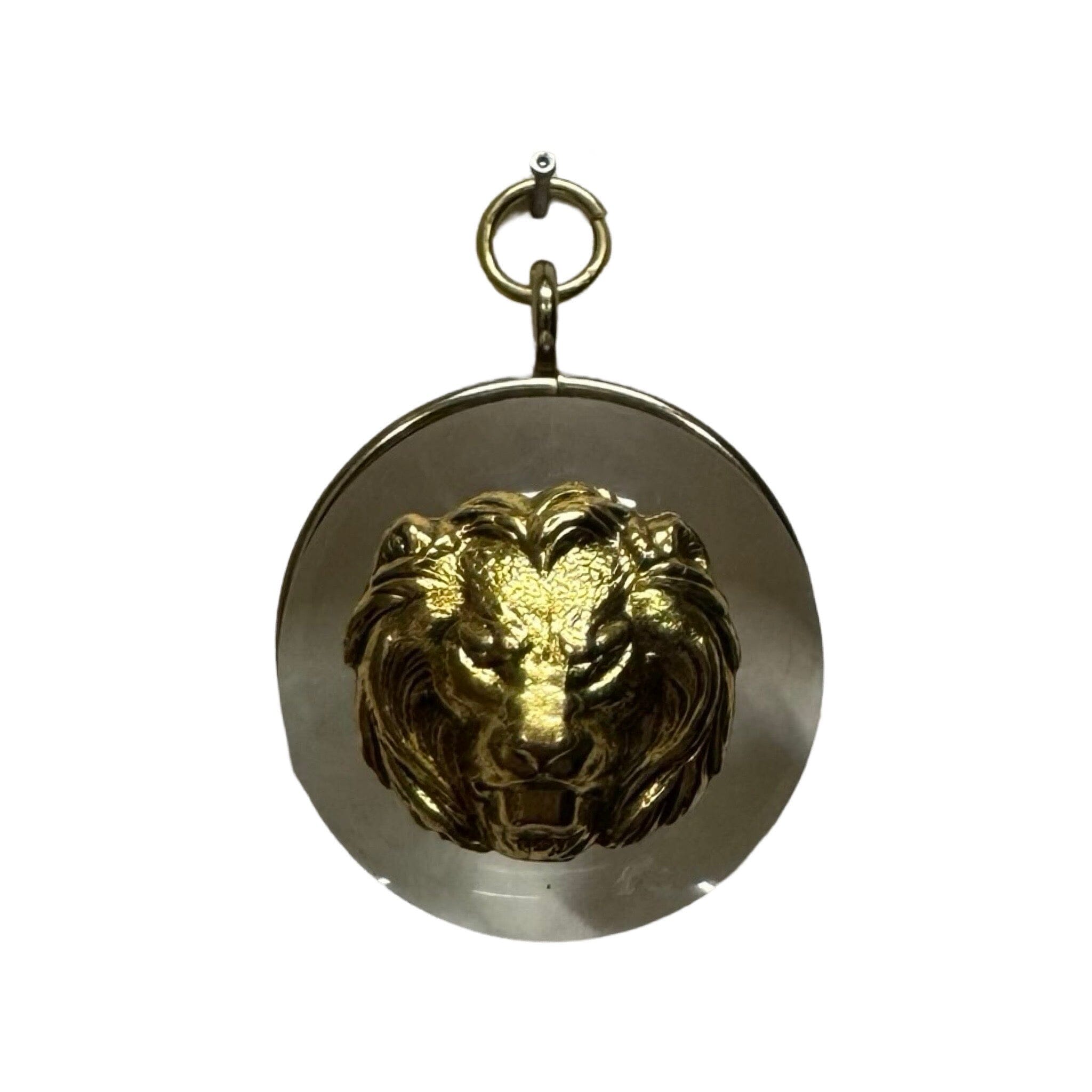 Acrylic Orb Frame with Lion / Slight Imperfections | (2" wide x 1") Art Museum Bees 
