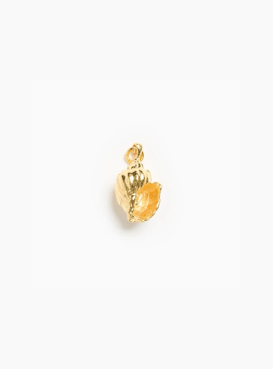 Conch Shell Charm Charm Fallen Aristocrat 