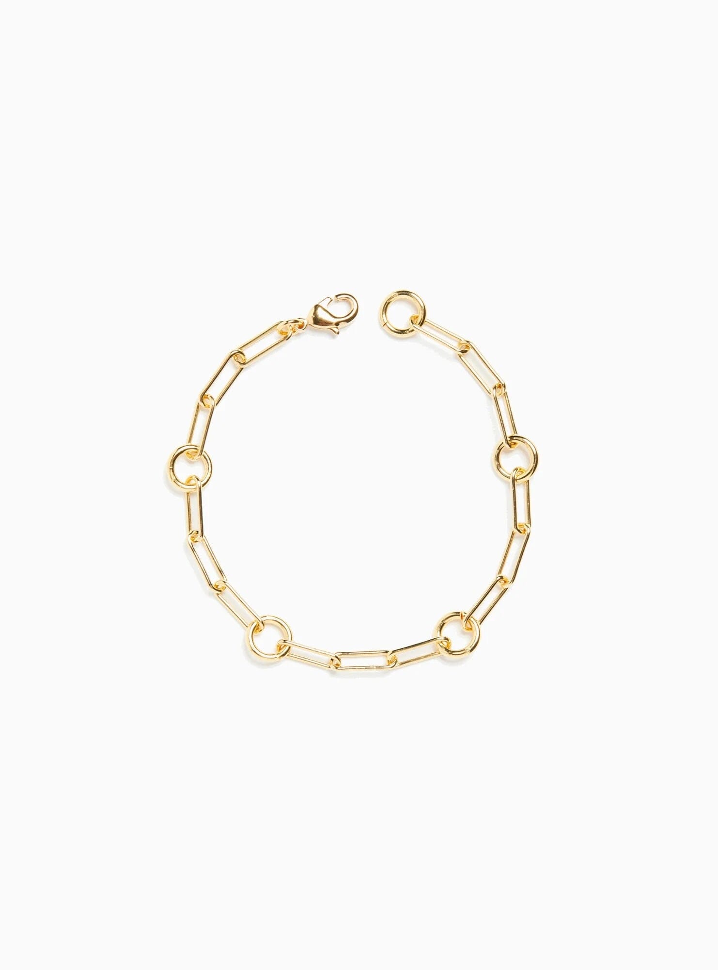 Paperclip Circle Chain Charm Bracelet Jewelry Fallen Aristocrat 