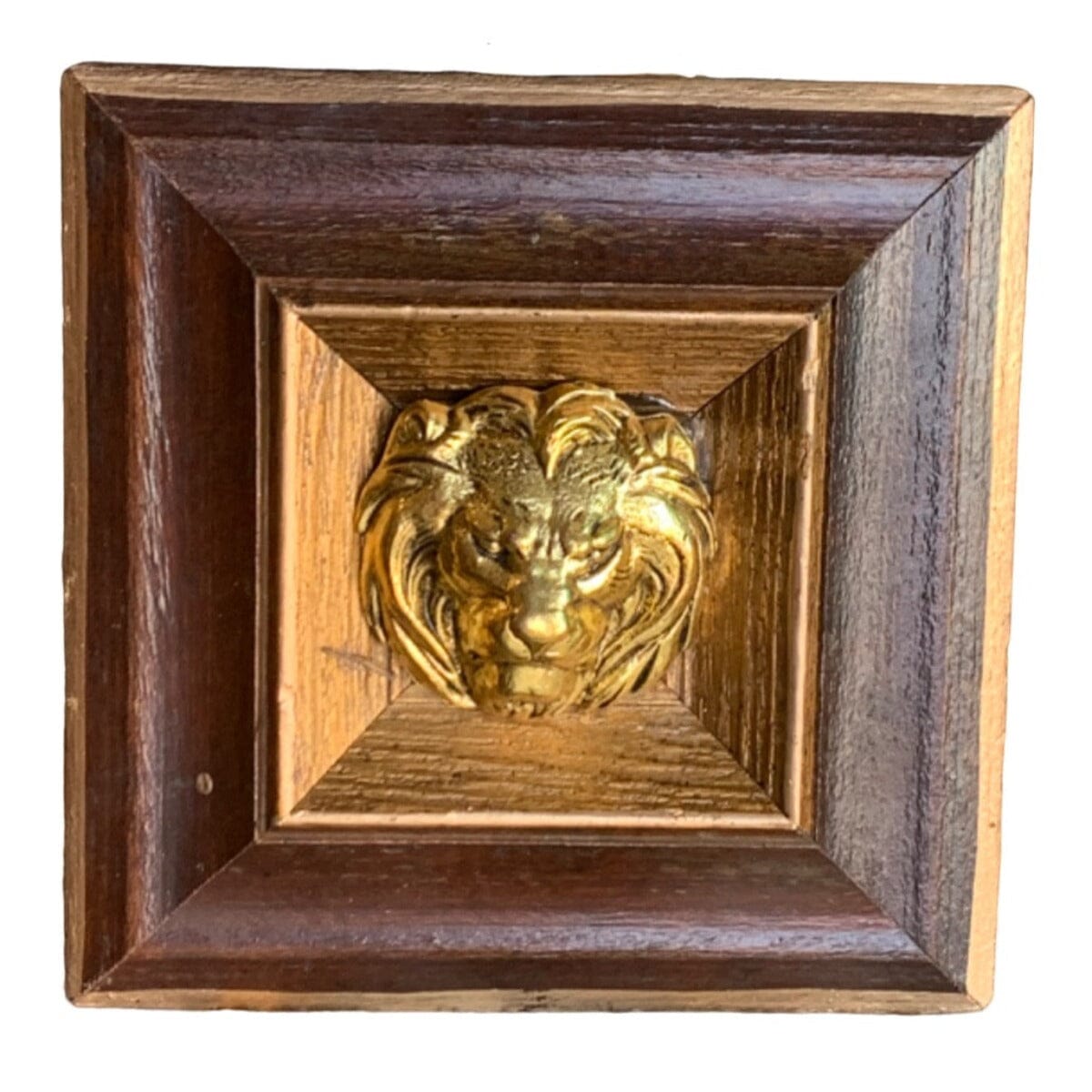 Trace Mayer "Wooden Frame with Lion" Museum Bee Museum Bees Trace Mayer Antiques 