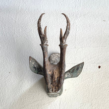Antique African Wood and Antler Deer Mount (b)
