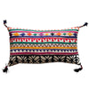 Antique Indian Applique (#M022622A&B | 11 x 19") Pillow Pair B. Viz Design 