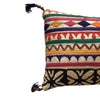 Antique Indian Applique (#M022622A&B | 11 x 19") Pillow Pair B. Viz Design 