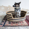 Dog Basket Dog Bed Design Afrika 